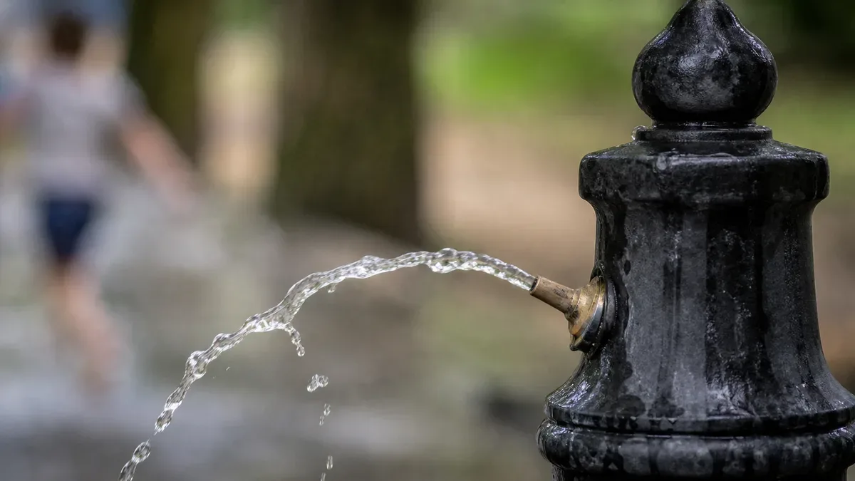 Nad Jasieniem powstaje zielona plaża. Będzie też wyspa biofiltracyjna
