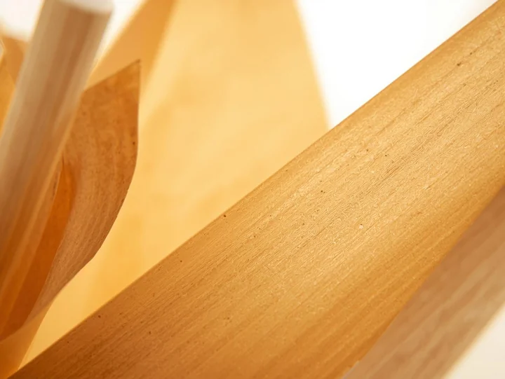 Ekologiczne opakowania na wynos. Czy trzcina cukrowa to przyszłość branży?