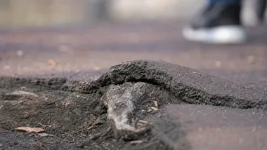 Na Dołach trwa przebudowa tras rowerowych. Są też nowe plany