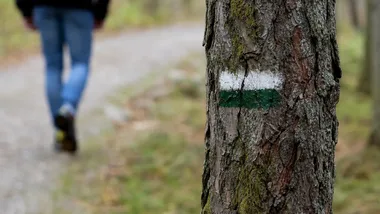 Park Podchorążych w Łodzi większy o kilka hektarów. Radni podjęli decyzję