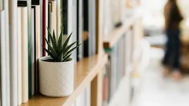 Biblioteka przy Wilczej wraca po remoncie. Na półkach 12 tys. książek