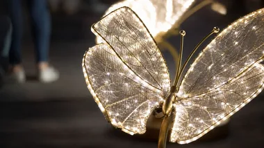 Light Move Festival 2026 coraz bliżej. Motyle rozbłysły przy Piotrkowskiej