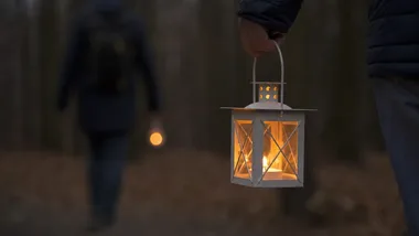 Park Miliona Świateł wraca do Łodzi. Nowa odsłona z Alicją w Krainie Czarów
