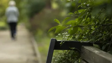 Prawie 200 drzew przy dwóch ulicach w Łodzi. Nowe nasadzenia już trwają