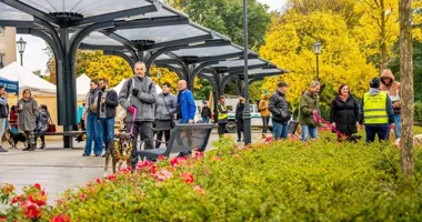 Piknik z okazji Światowego Dnia Zwierząt na Starym Rynku