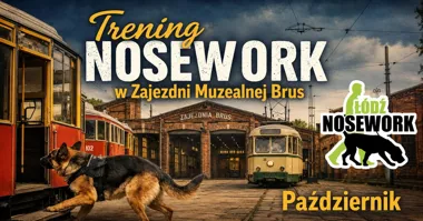 Trening Nosework w Zajezdni Muzealnej – psi trening