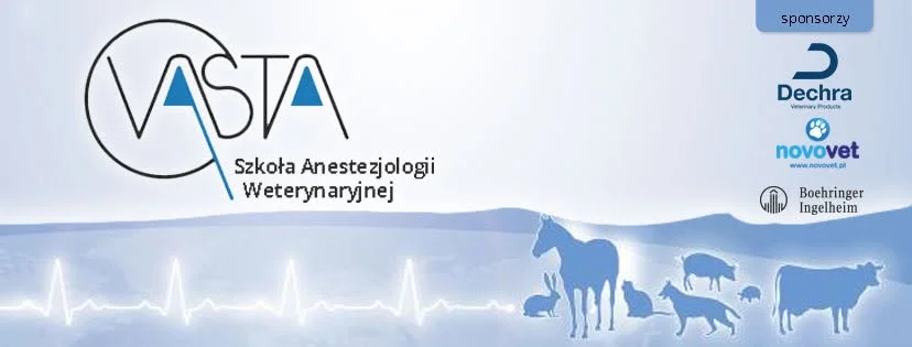 Grafika promocyjna wydarzenia VASTA Kongres jubileuszowy Łodzi