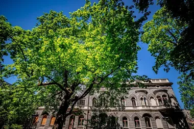 Akademia Muzyczna w Łodzi działa latem - sprawdź, kiedy wejdziesz