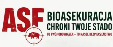 Jedno ogrodzenie to za mało. Tak ogranicza się ryzyko ASF