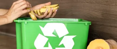 Bioodpady pojadą innym rytmem. Zmiana obejmie kilka rejonów Konstantynowa
