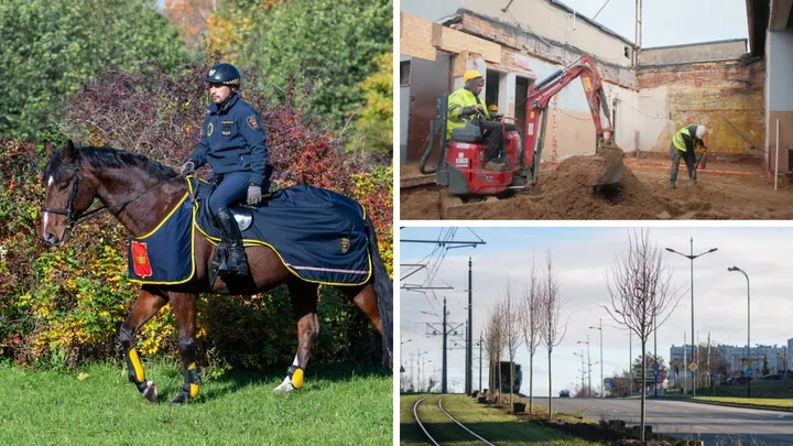 Mieszkańcy zmienili przestrzeń Łodzi - od konia Tadka po nowe place zabaw