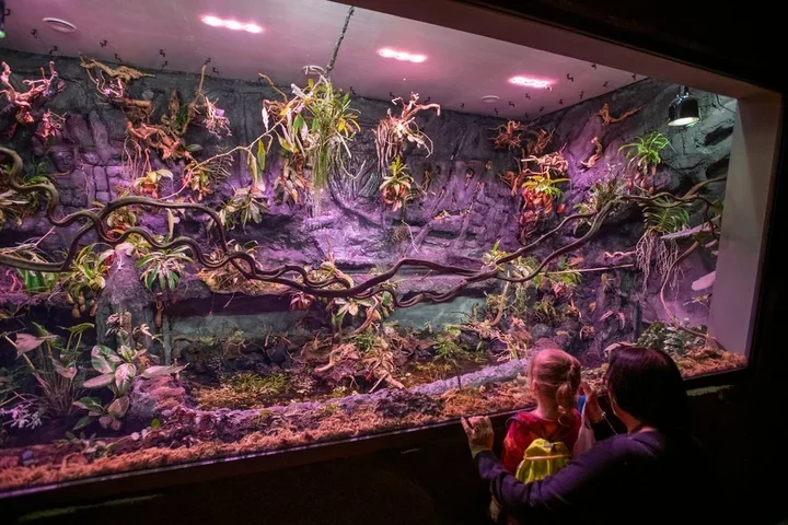 Ciepłe zakątki z zielenią w Łodzi - cztery miejsca, które rozświetlą zimowe dni