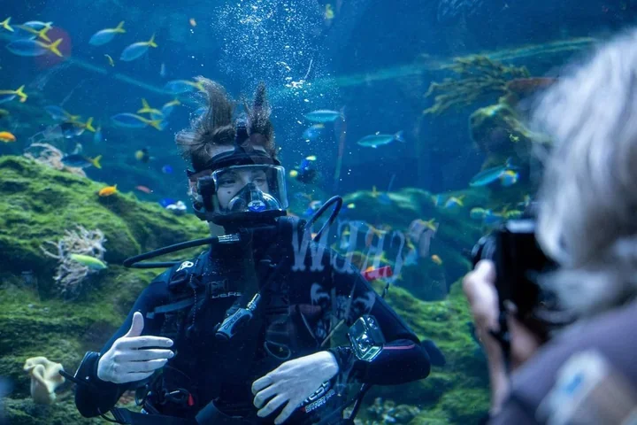 Orientarium Zoo Łódź wydłuża dzień zwiedzania i zostawia świąteczne atrakcje otwarte