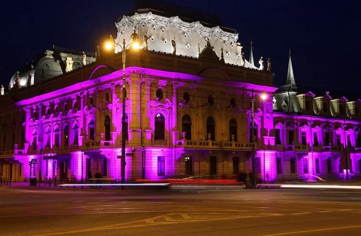 Pałac Poznańskich rozbłysnął lawendą dla osób z padaczką