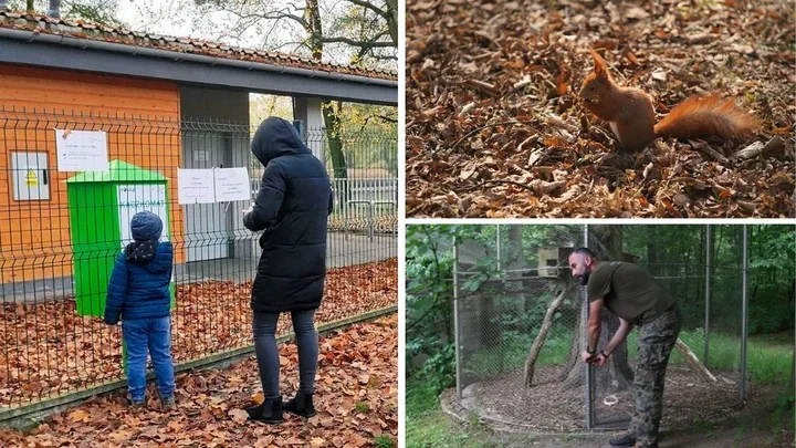 Jak zimą odpowiedzialnie pomagać ptakom, wiewiórkom i kaczkom w łódzkich parkach