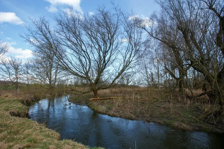 Ner – rzeka, która wraca do życia i rzeźbi południową Łódź