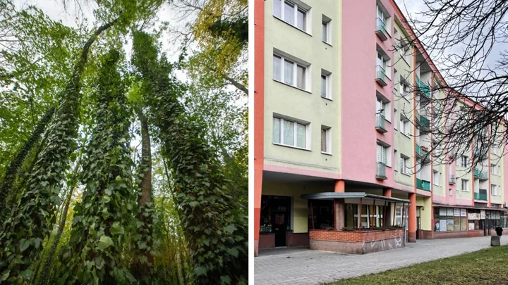 Rozpoznasz swoje osiedle po zdjęciu - quiz z najbardziej charakterystycznymi miejscami Łodzi