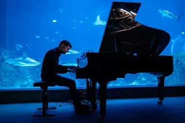 Maciej Tubis wraca do tunelu oceanicznego, a bilety znikają błyskawicznie