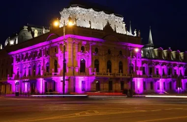 Pałac Poznańskich rozbłysnął lawendą dla osób z padaczką
