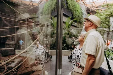 Tanie poranki dla seniorów w Orientarium – bilet za 20 zł przez cały marzec