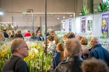 World Flower Show zamienia Expo Łódź w raj dla orchidei i bonsai