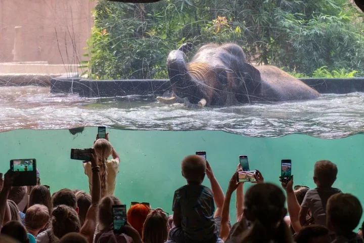 Zima w tropikach - Orientarium kusi promocjami i Park Miliona Świateł za 99 zł