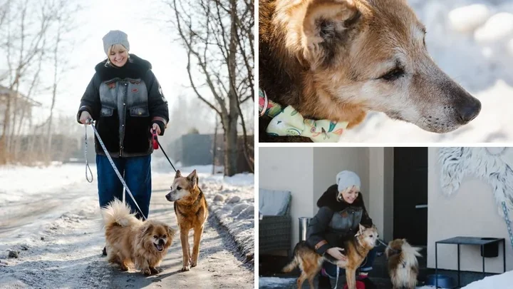 Spacer ze schroniskowymi psami skończył się adopcją dwóch seniorów