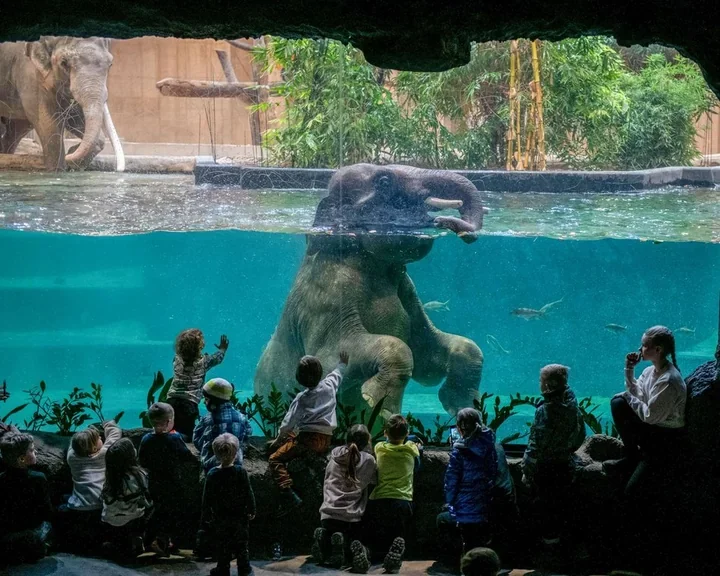 Z klocków LEGO do świata zwierząt – kreatywna ścieżka w Orientarium