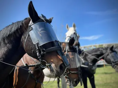 ŁKS i Stal pod policyjną blokadą - Łódź uniknęła gorących scen