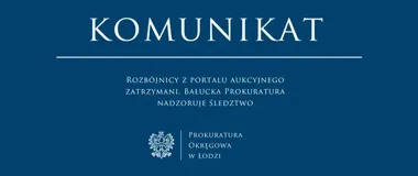 Zarzuty po próbie rozboju przy sprzedaży telefonu. Są areszty
